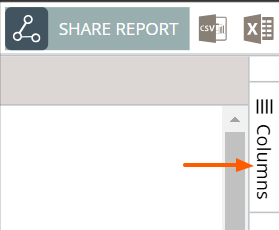 Create a Style Custom Report
